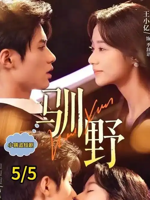 韩剧白塔谜案全集免费在线观看